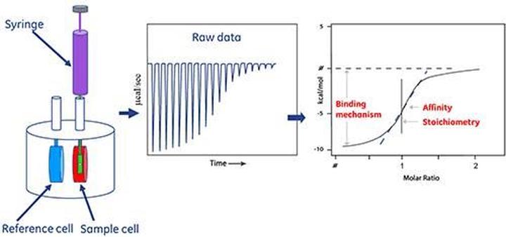 Odchudzanie a kalorie