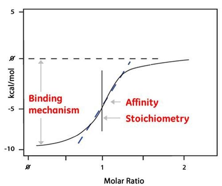 Znaczenie wydatku energetycznego