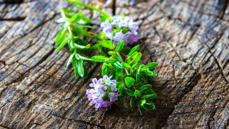 Alternatywne przyprawy