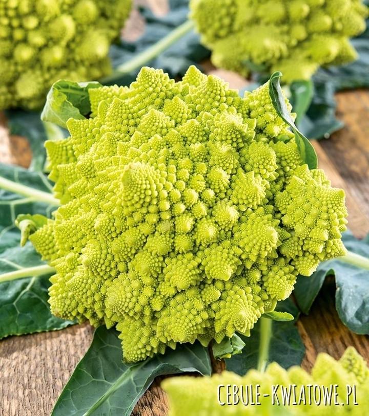 Kalafior a odchudzanie