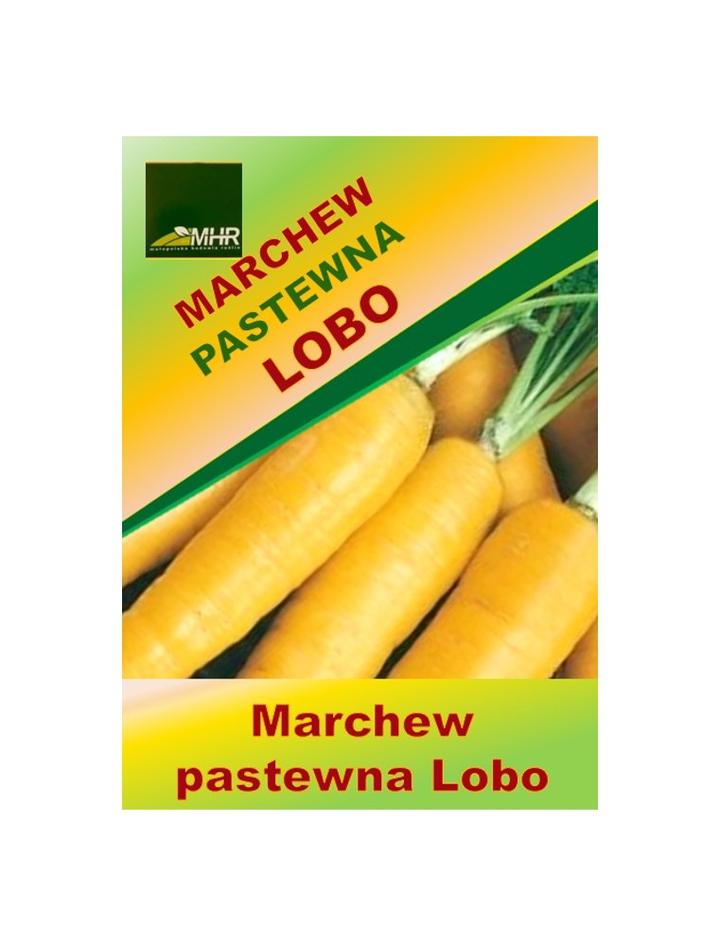 Marchew jako superfood