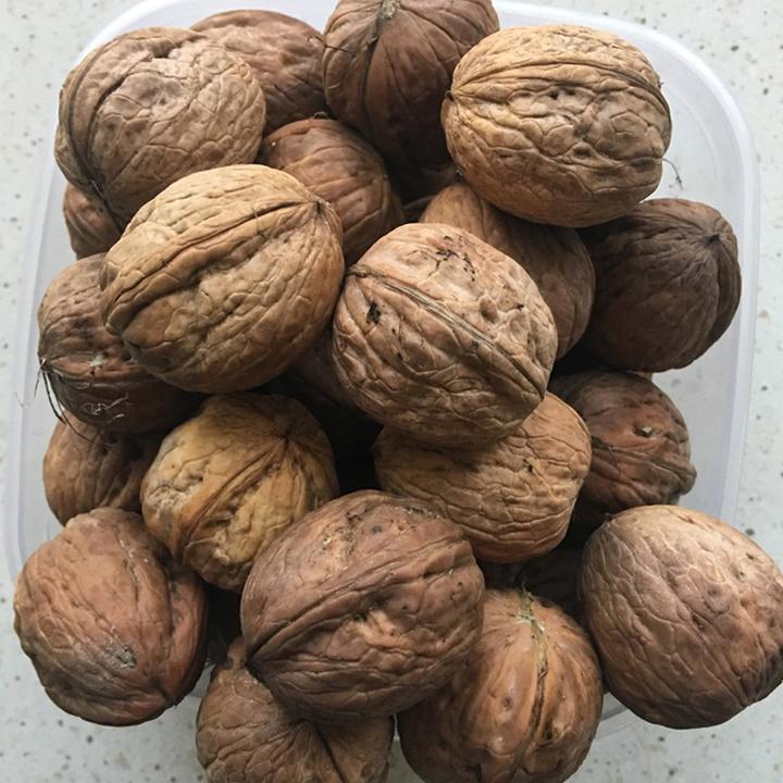 Kalorie w orzechach włoskich