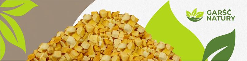 Zdrowotne korzyści mango