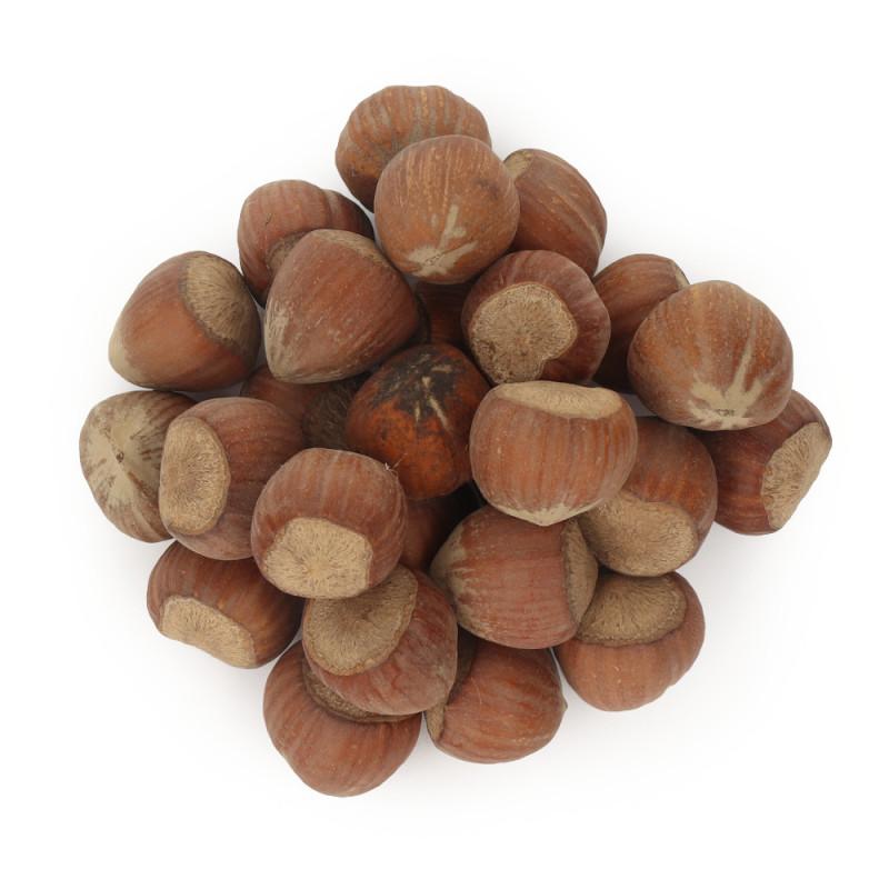 Orzechy laskowe a odchudzanie