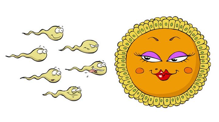 Ile białka znajduje się w spermie i co to oznacza dla zdrowia?