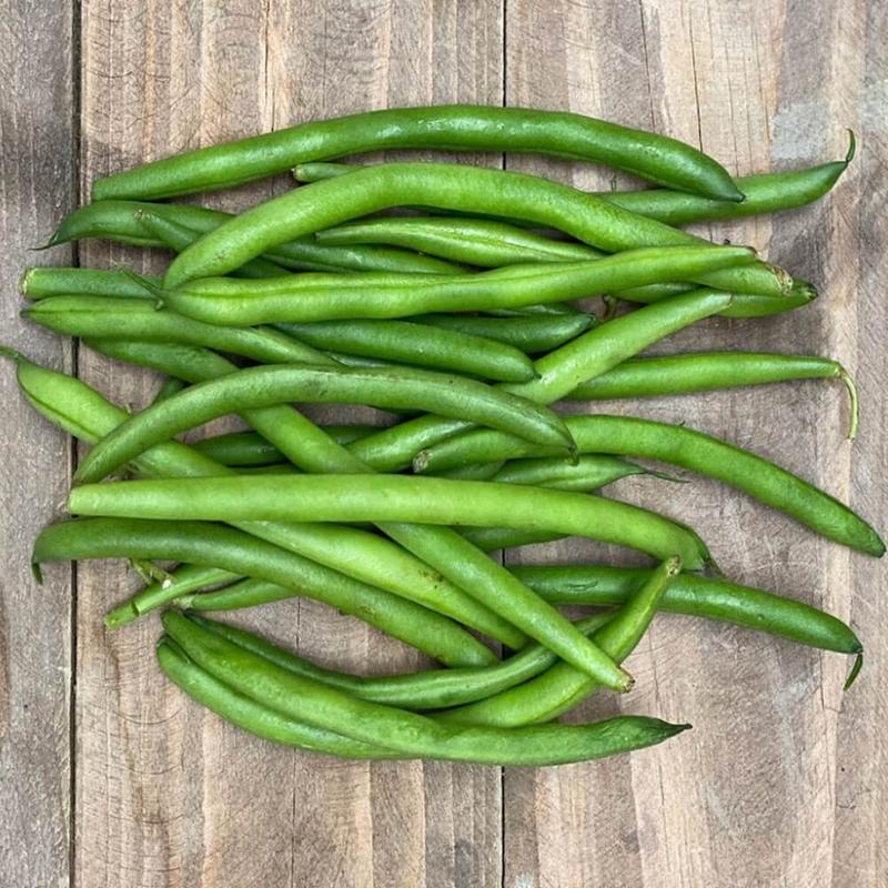 Białko roślinne w fasoli