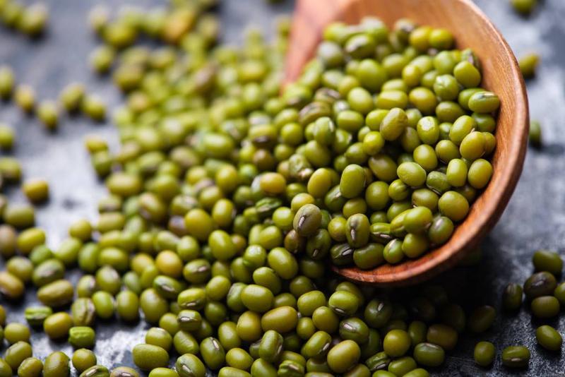 Ile białka w 100 g fasoli