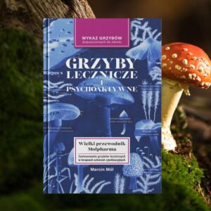 Grzyby w walce o zdrowie – odkryj witaminy i ich właściwości lecznicze