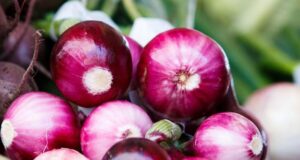 Cebula - odkryj witaminy i ich zdrowotne właściwości