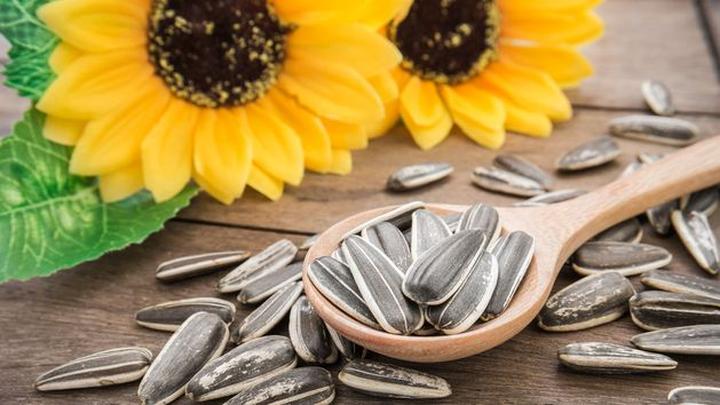 Składniki odżywcze słonecznika
