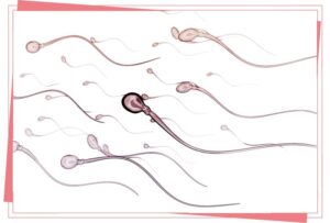 Najczęstsze przyczyny niepłodności u mężczyzn – jak je rozpoznać i skutecznie leczyć?